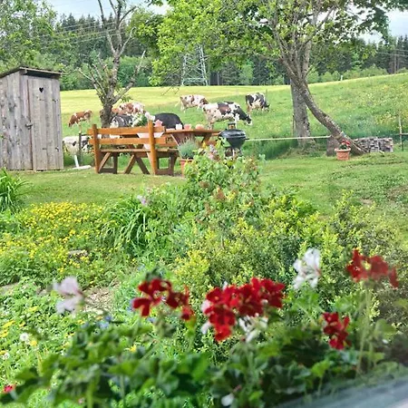 Hohwarthof Apartamento