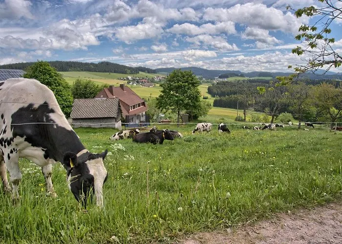 Lägenhet Hohwarthof Breitnau
